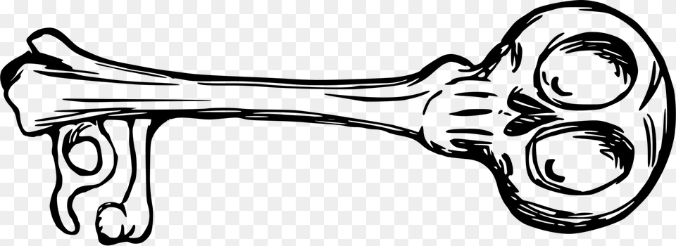 Human Skeleton Bone Skeleton Key Skull, Gray Png Image