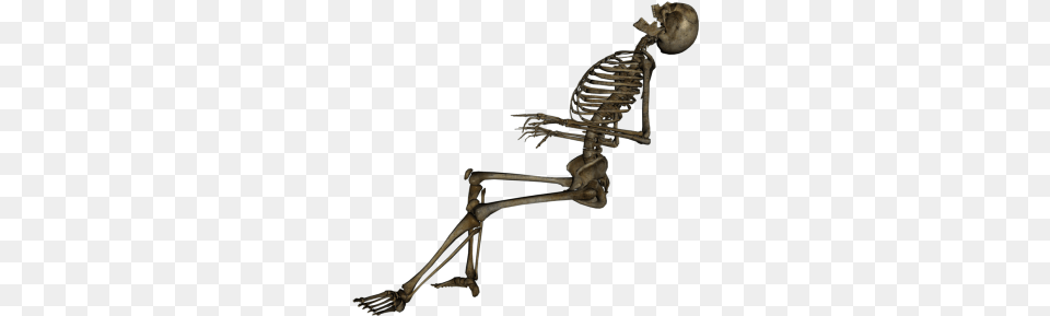 Human Skeleton Sixteen Skeleton Png
