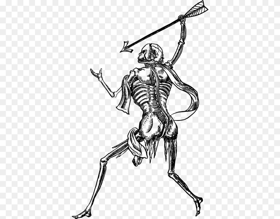 Human Skeleton Skull Drawing Bone Landsknecht, Gray Free Transparent Png