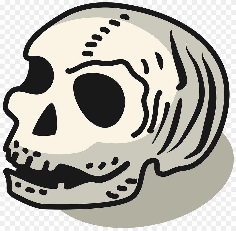 Human Skull Clipart Free Transparent Png