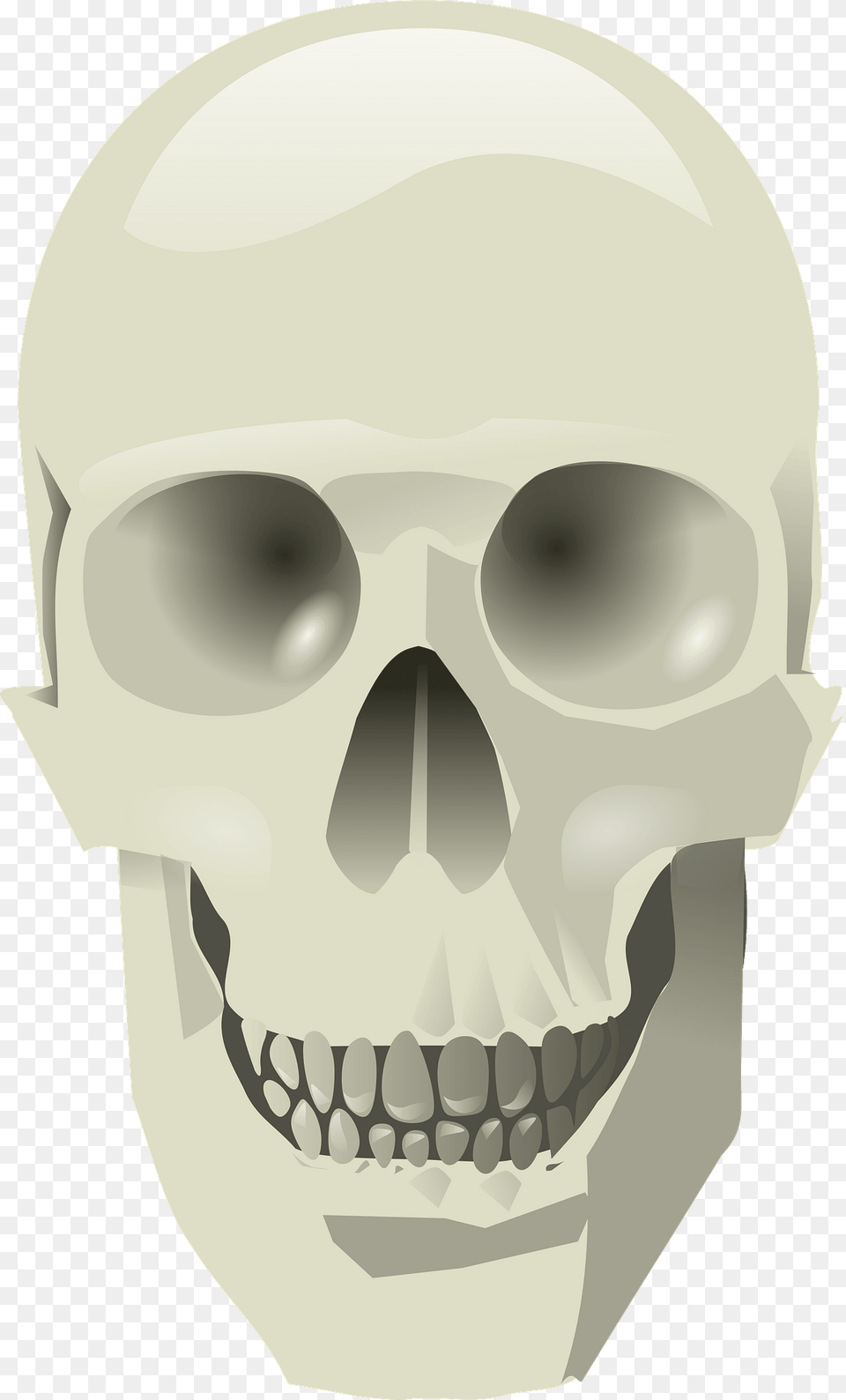 Human Skull Clipart, Body Part, Mouth, Person, Teeth Free Transparent Png