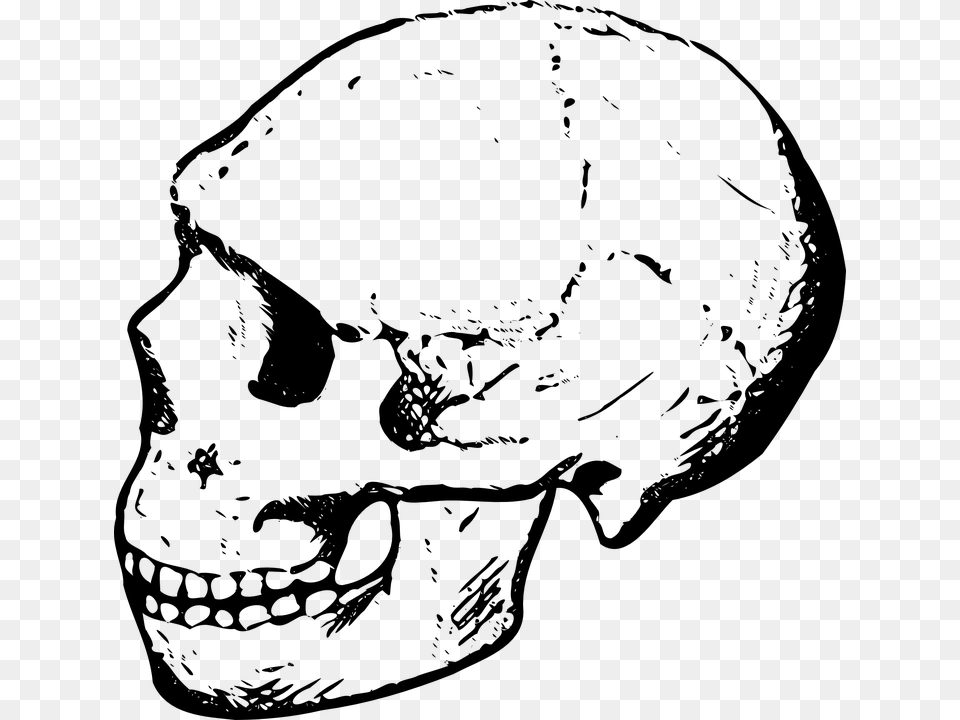 Human Skull Clipart Black And White, Gray Free Transparent Png