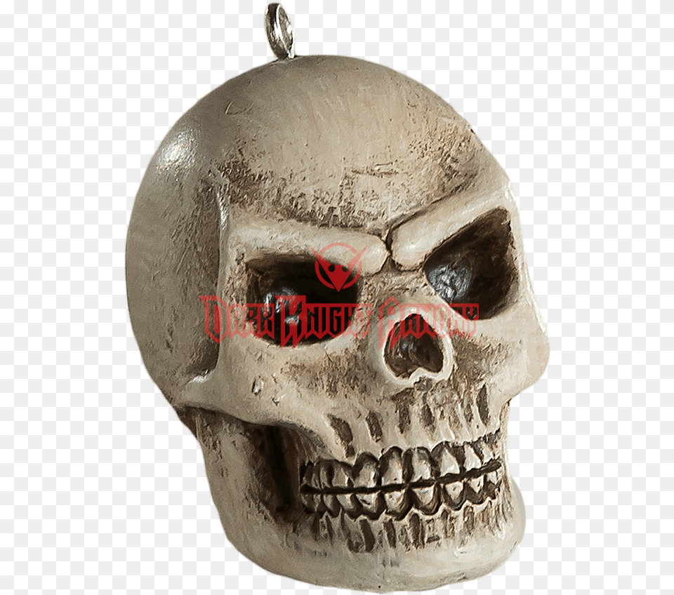 Human Skull Horror Ornament Skull, Head, Person, Face Png Image