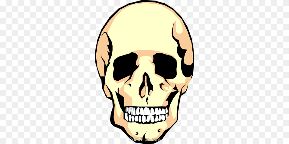 Human Skull Royalty Vector Clip Art Illustration, Head, Person, Face Free Transparent Png