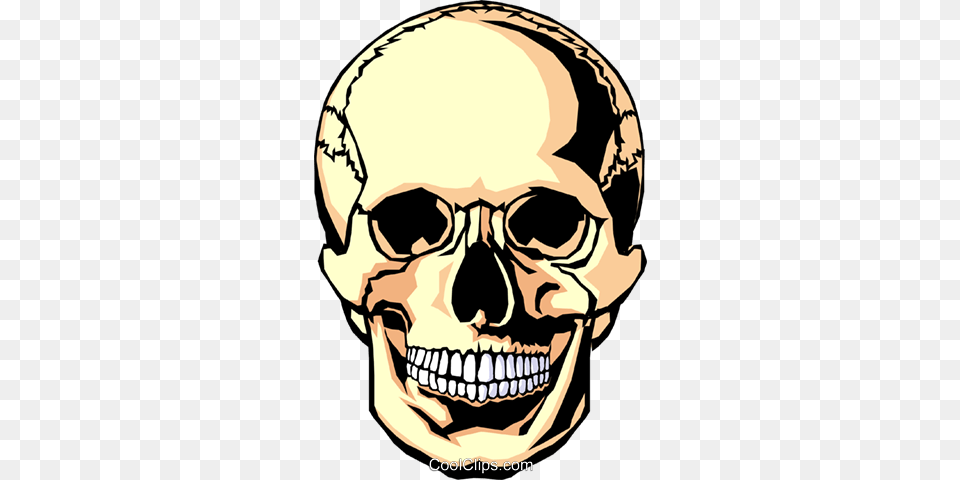 Human Skull Royalty Vector Clip Art Illustration, Baby, Person, Head, Face Png Image