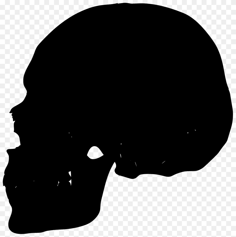 Human Skull Silhouette, Person, Head Free Transparent Png