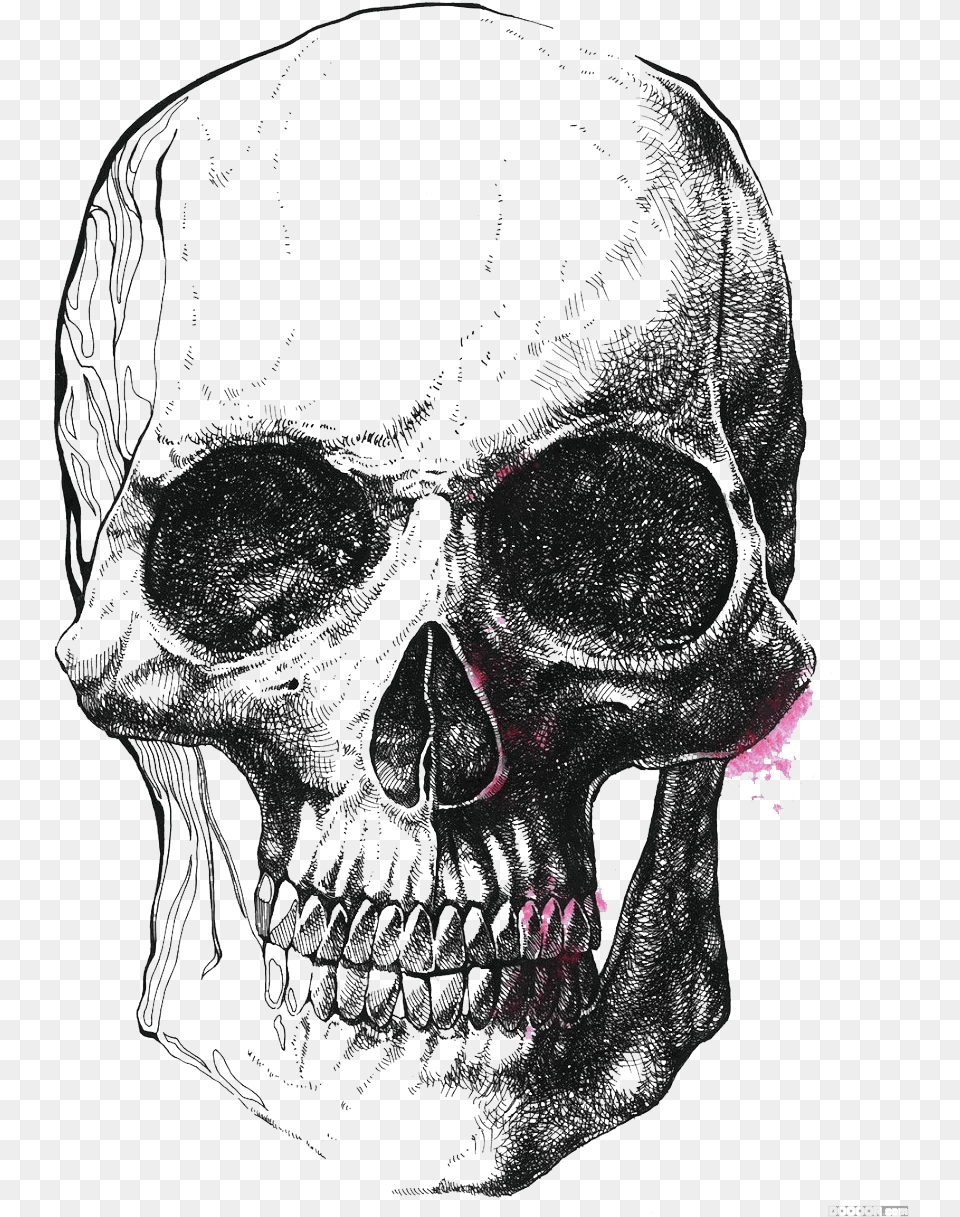 Human Skull Symbolism Illustration Black And White Sketch, Person, Face, Head Free Png