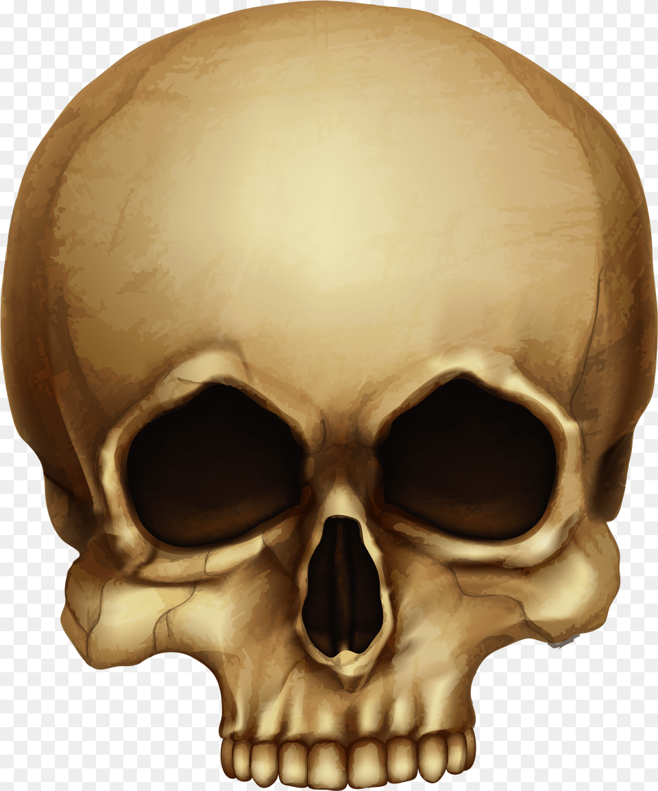 Human Skull Transparent Clipart Halloween Skull, Art, Graphics, Book, Comics Free Png Download