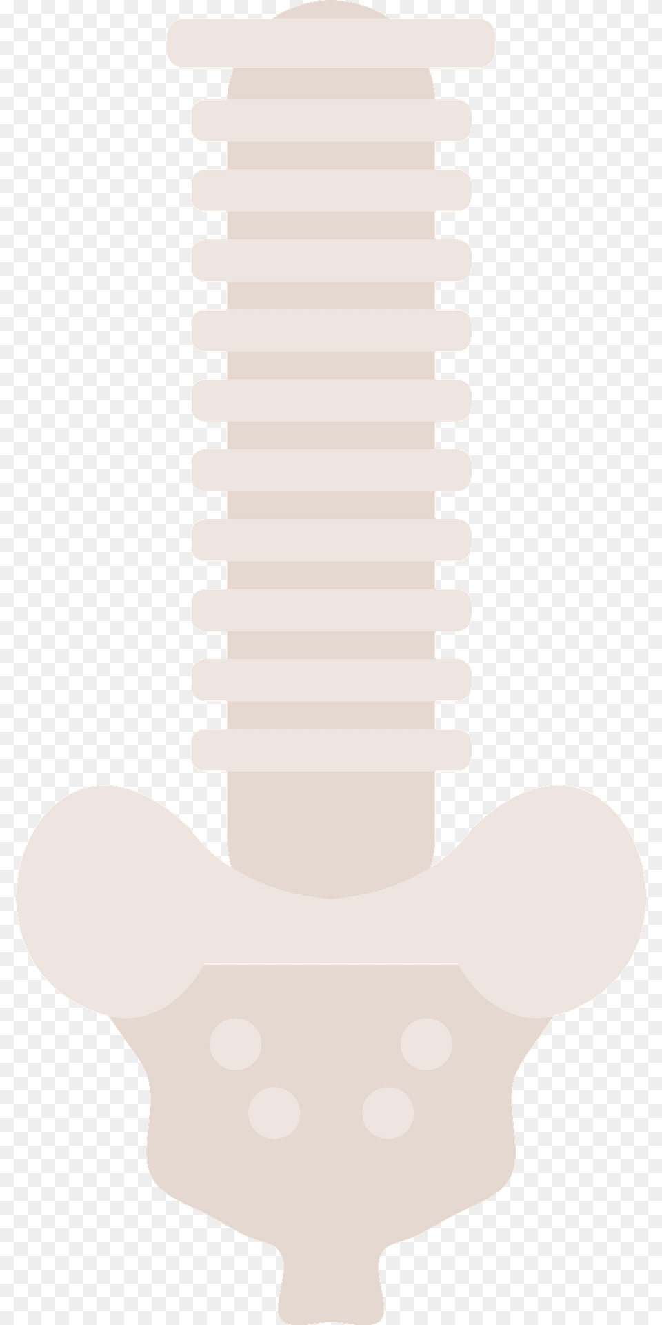 Human Spine Clipart Png Image