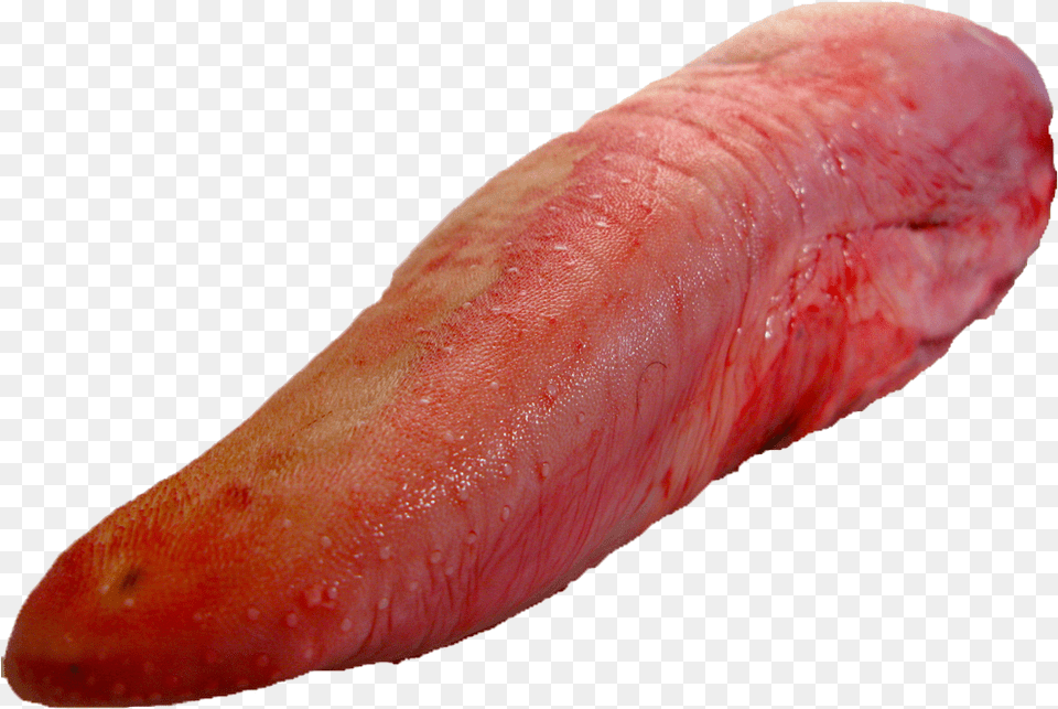 Human Tongue Jpg Transparent Tongue, Animal, Fish, Sea Life, Body Part Free Png