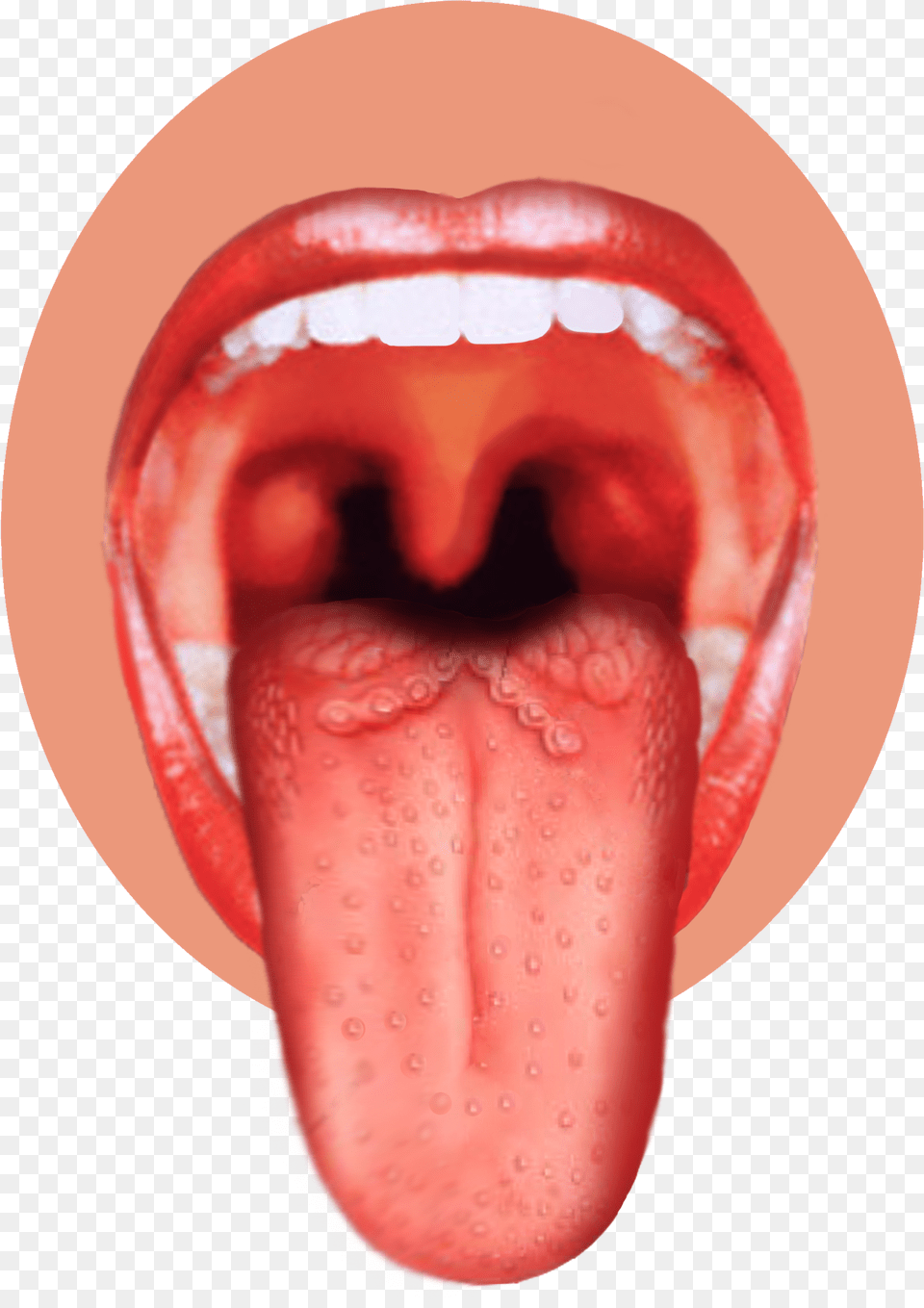 Human Tongue Taste Buds On Tongue, Body Part, Mouth, Person, Food Png Image