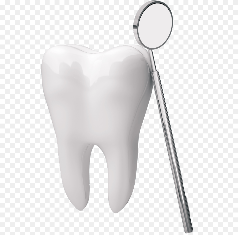 Human Tooth The Center For Family Amp Cosmetic Dentistry Dental Teeth, Cutlery, Spoon Png