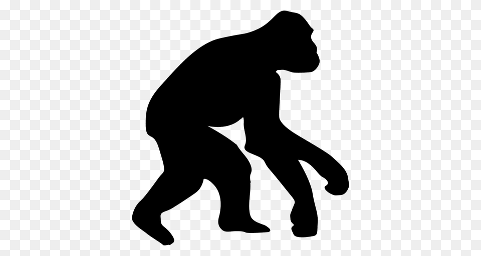 Human Work Evolution, Animal, Silhouette, Wildlife, Person Free Png