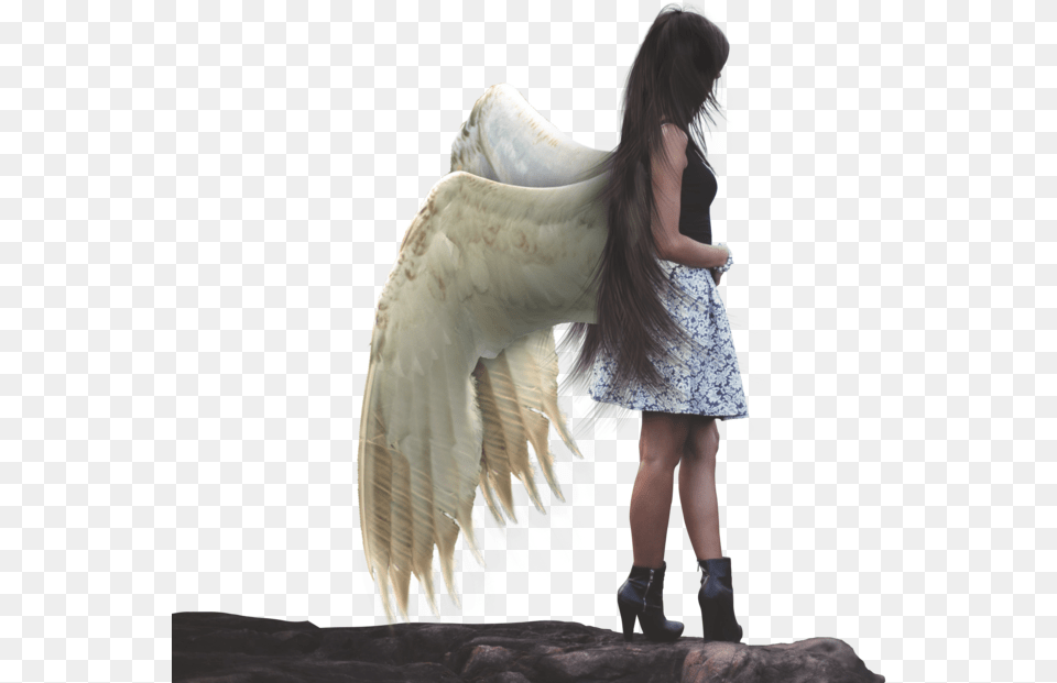 Humananimal Girl Bird Wings Mistic Fantasy Ftestickers Girl With Bird Wings, Angel, Adult, Person, Female Free Png