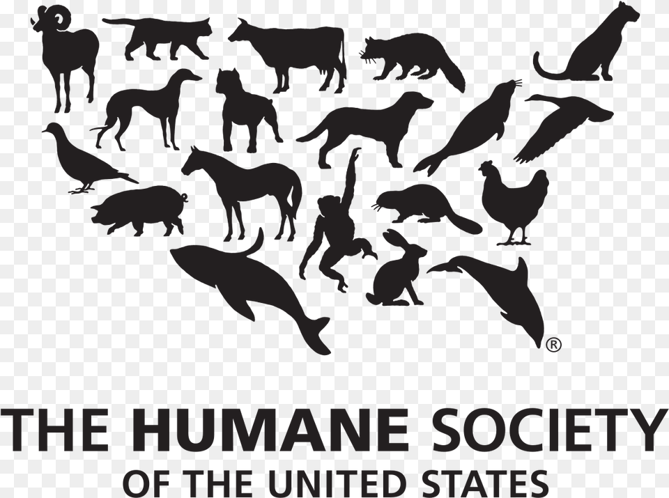 Humane Society Of The United States, Animal, Mammal, Horse, Wildlife Png Image