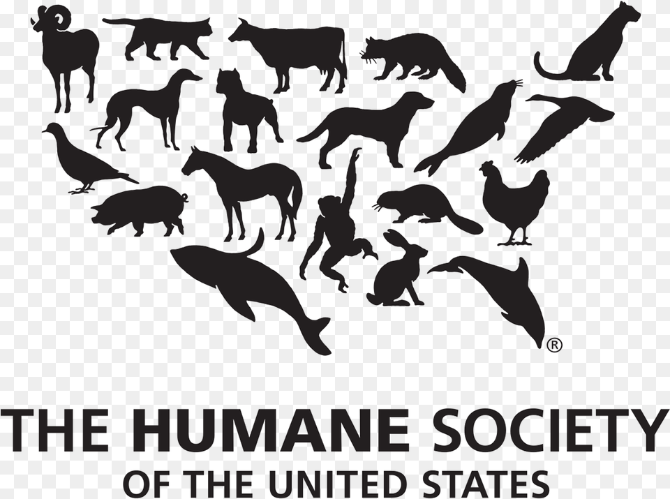 Humane Society Of The United States, Animal, Mammal, Wildlife, Bear Free Png