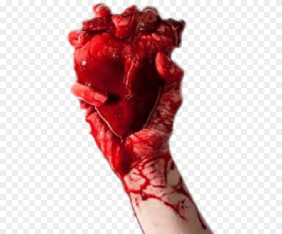 Humanheart Hand Handholding Blood Heart Hand Holding Real Heart, Body Part, Person, Wrist, Injury Free Png Download
