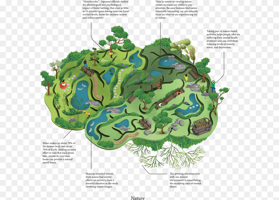 Humanity Depends On Nature Not The Other Way Around, Green, Outdoors, Pond, Water Png