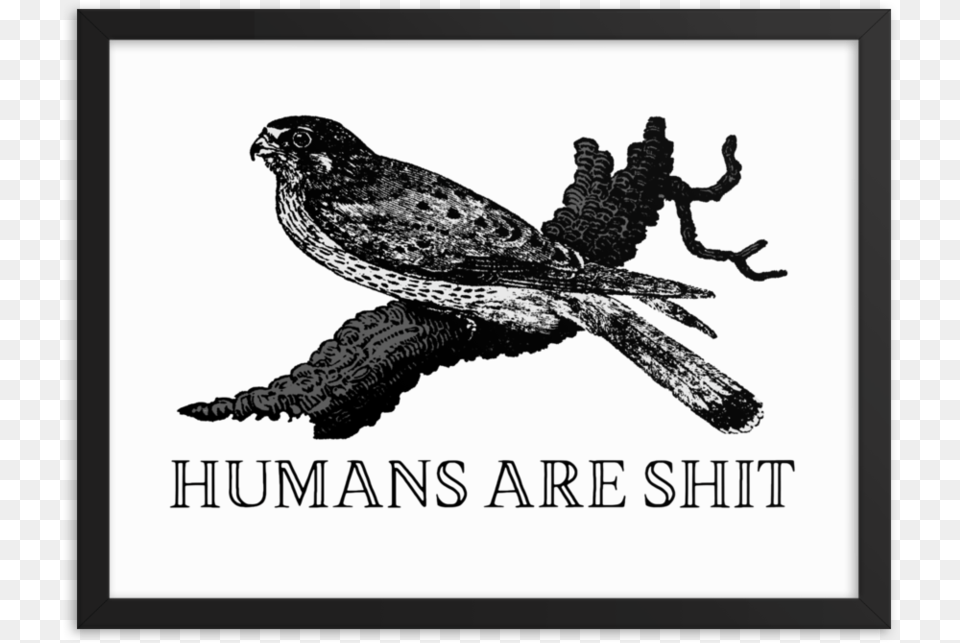 Humans Are Shit Framedsrcset Data Humans Are Shit, Animal, Bird, Accipiter, Hawk Free Png Download