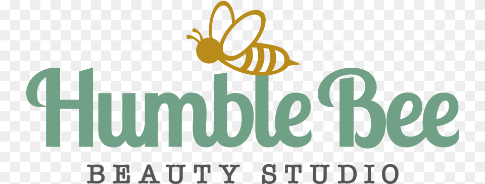 Humble Bee Beauty Studio Language, Animal, Insect, Invertebrate, Wasp Free Transparent Png