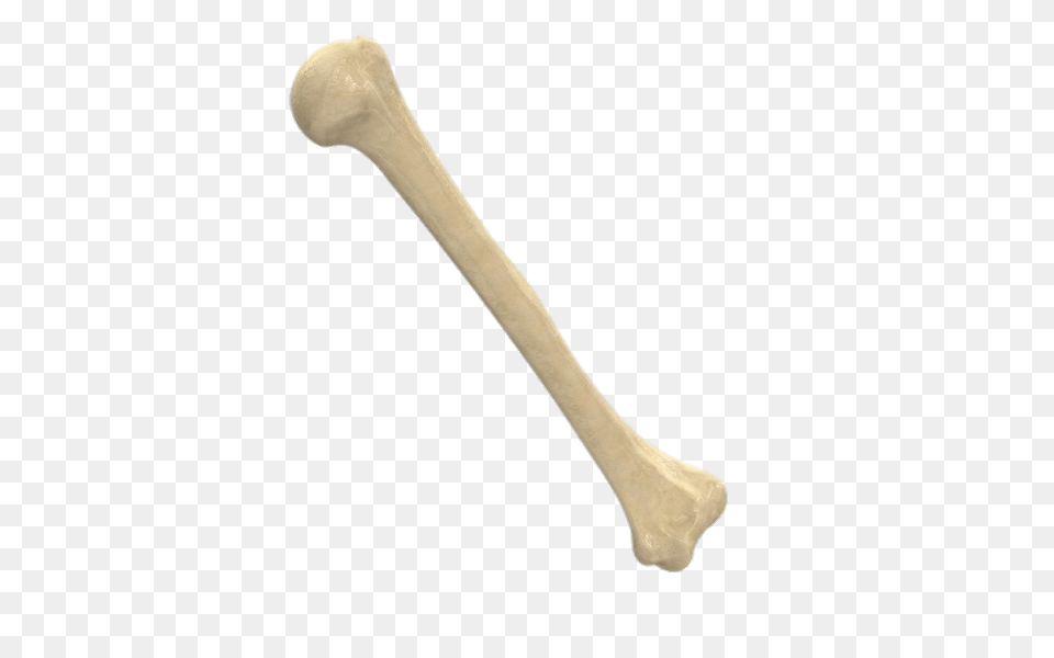 Humerus, Cutlery, Spoon, Brush, Device Free Transparent Png