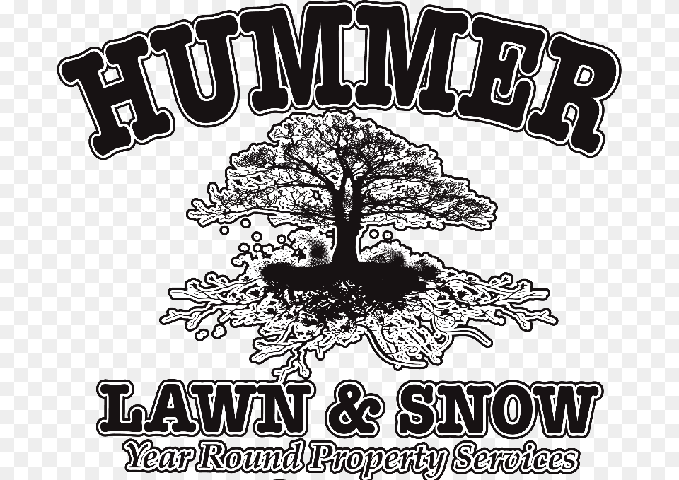 Hummer Lawn Amp Snow, Advertisement, Plant, Poster, Tree Free Png Download