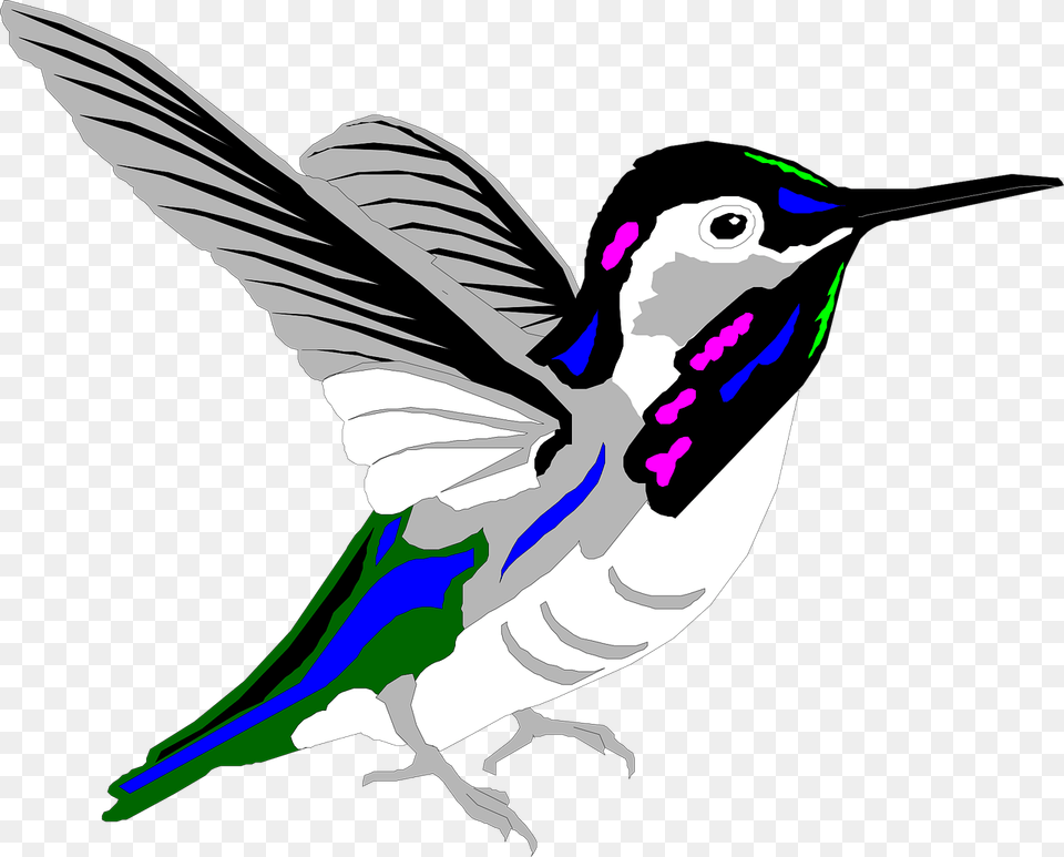 Humming Bird, Person, Animal, Hummingbird Free Png