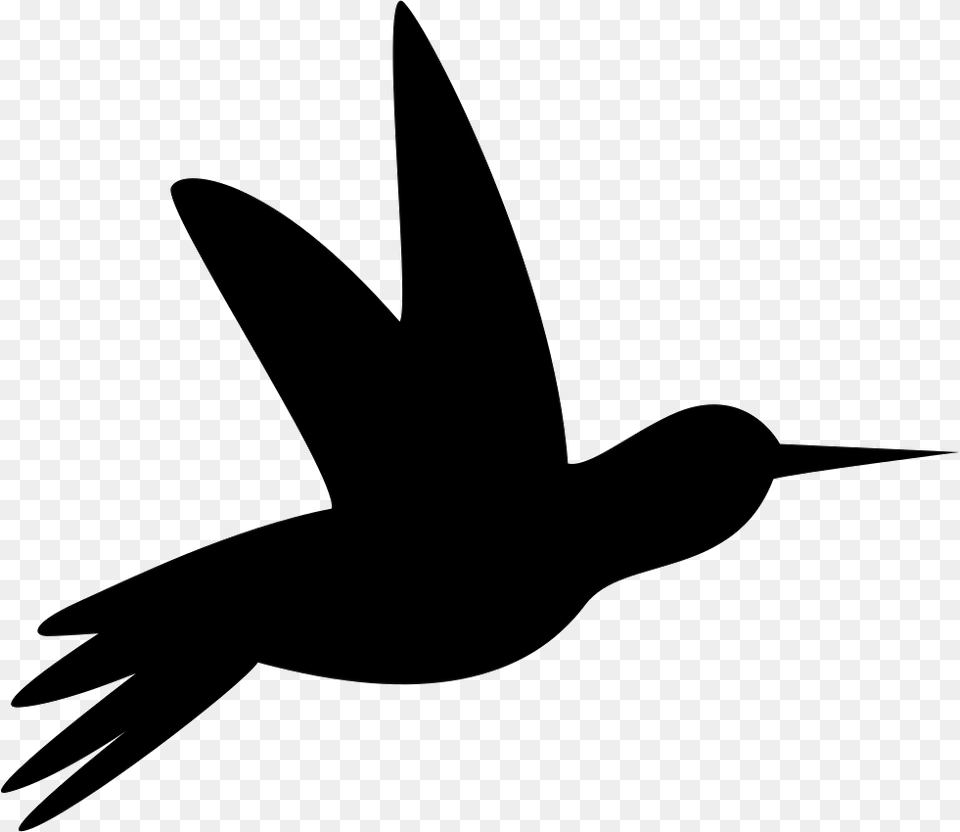Humming Bird Black Side Silhouette Silueta Colibri, Animal, Flying, Stencil, Blade Png Image