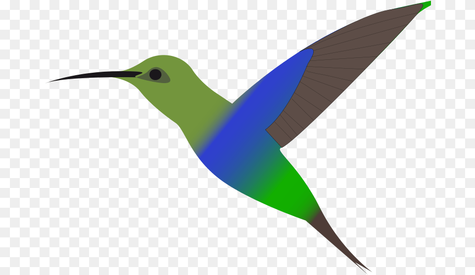 Humming Bird Hummingbird Clipart, Animal Free Png Download