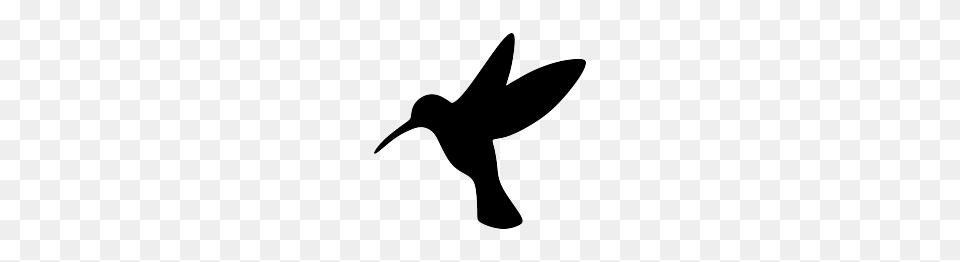 Hummingbird, Silhouette, Animal, Beak, Bird Free Transparent Png