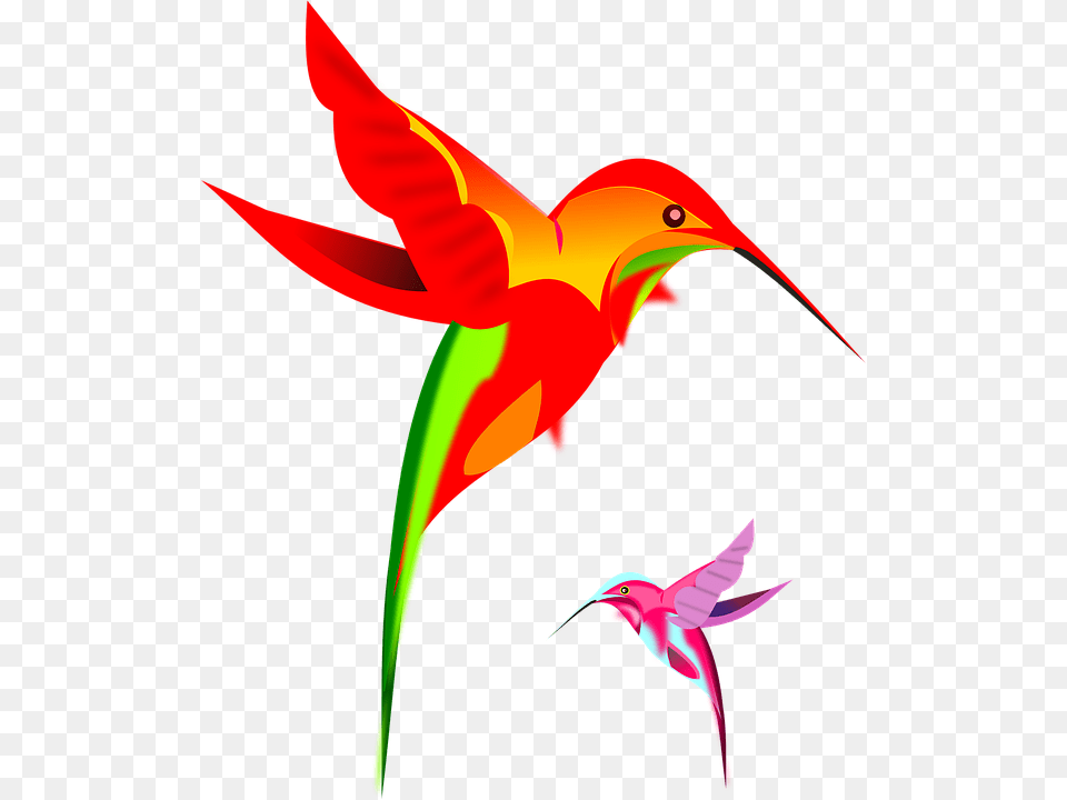 Hummingbird, Animal, Bird, Flying, Beak Png