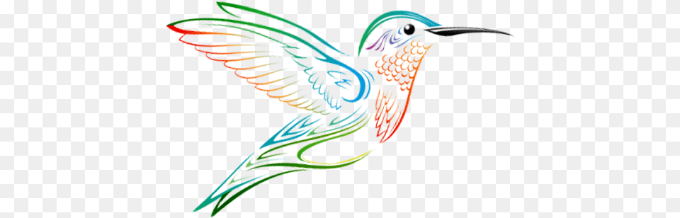 Hummingbird, Animal, Bird Png