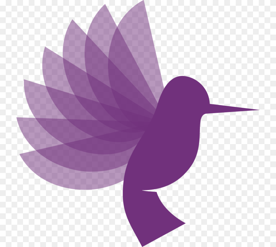Hummingbird, Leaf, Plant, Purple, Animal Free Png Download