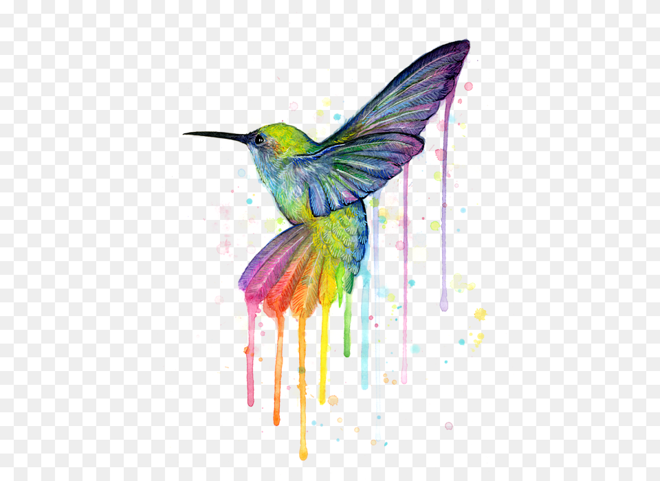 Hummingbird, Animal, Bird, Art, Modern Art Free Png Download