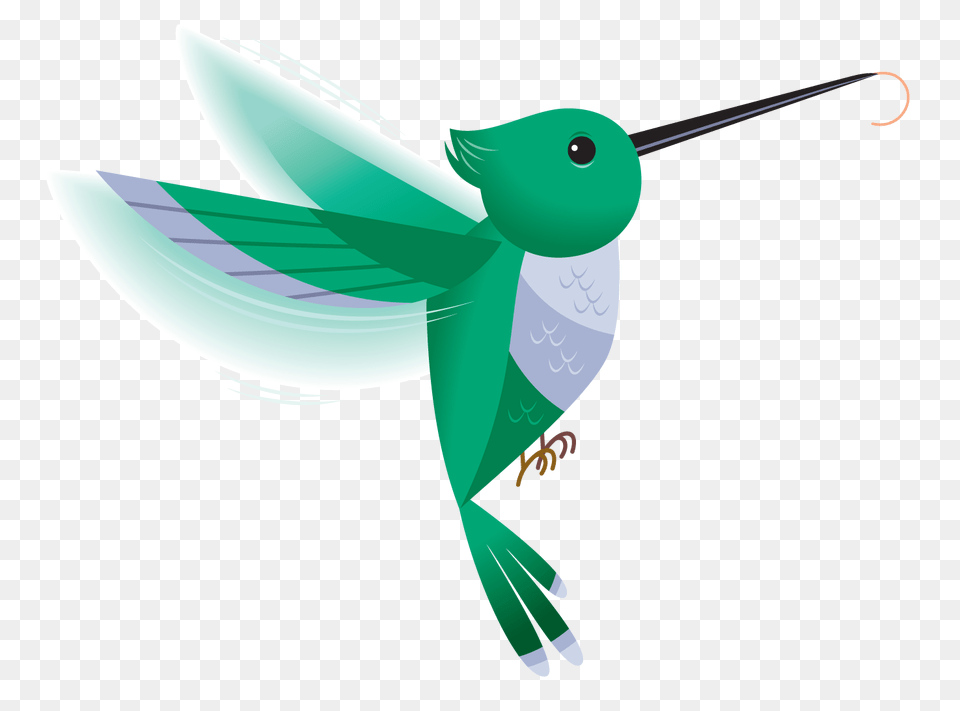 Hummingbird, Animal, Bird Free Png