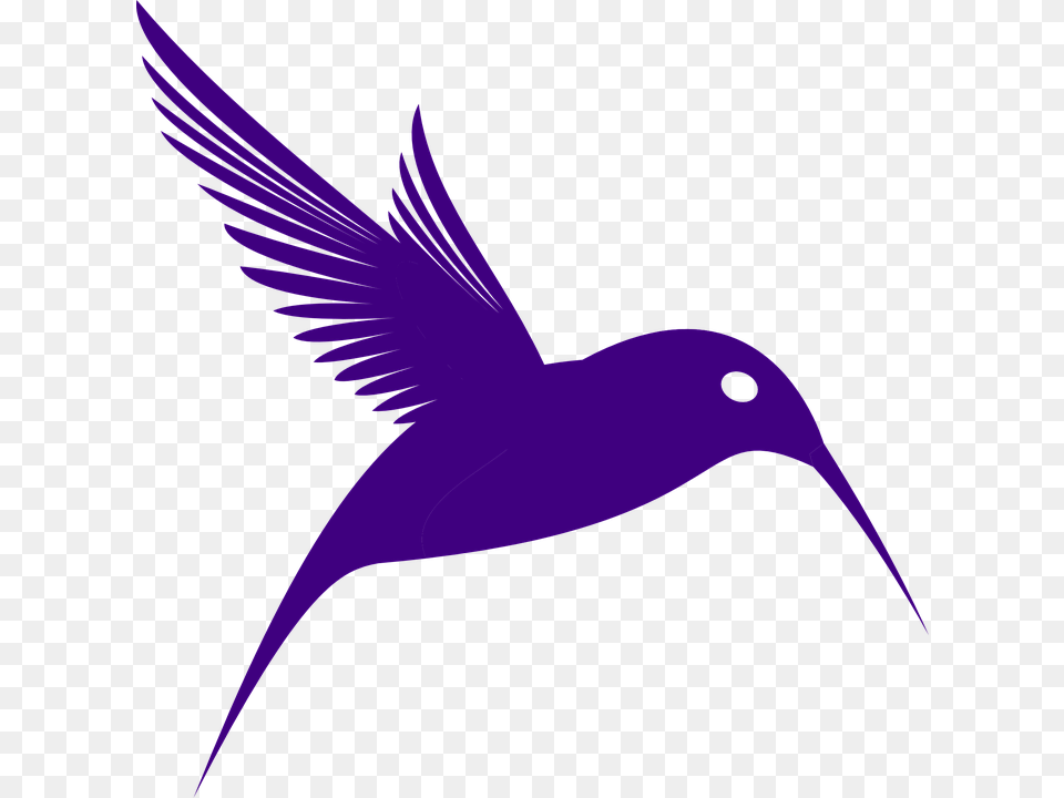 Hummingbird, Animal, Bird, Beak Png Image