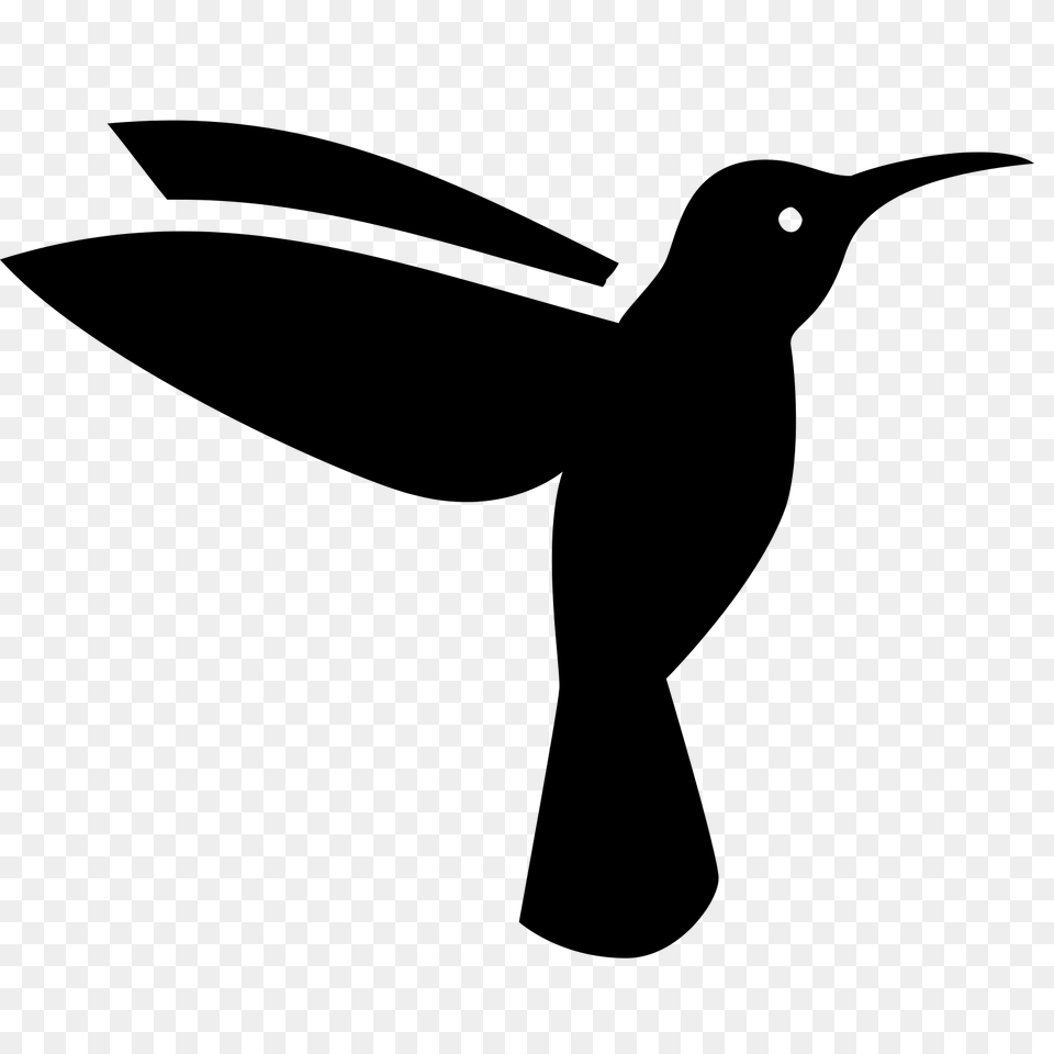 Hummingbird, Gray Free Png Download