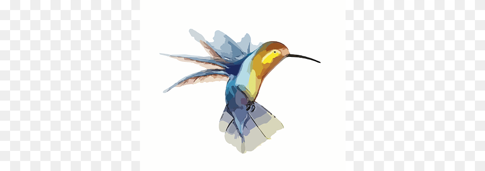 Hummingbird Animal, Bird, Flying Free Transparent Png