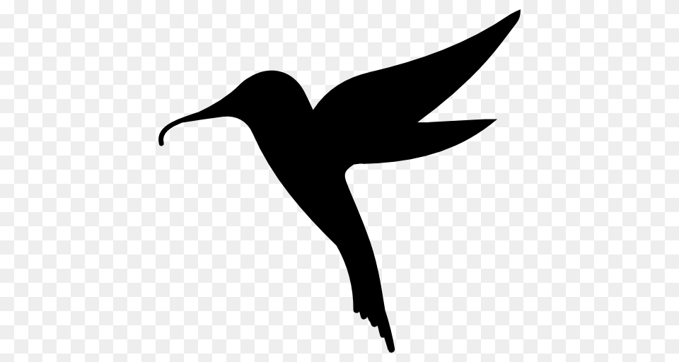 Hummingbird, Silhouette, Animal, Bird, Fish Png Image