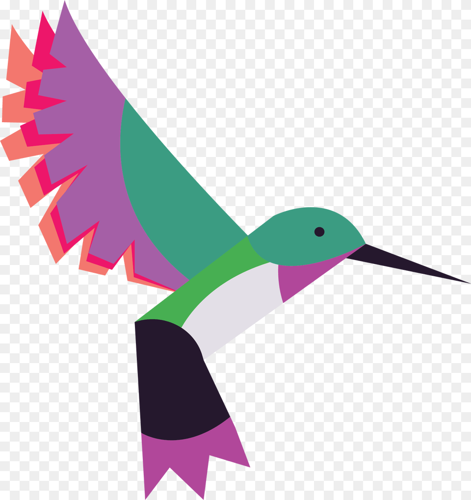 Hummingbird, Animal, Bird, Fish, Sea Life Free Png Download