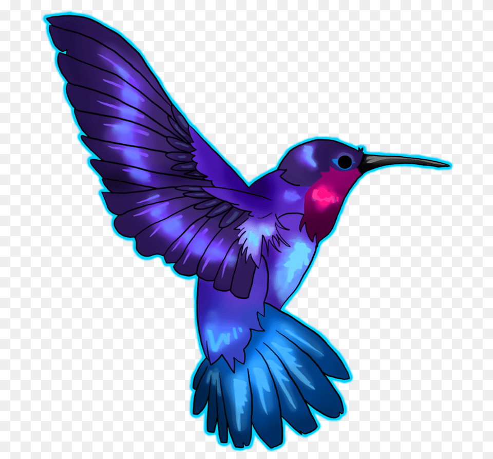 Hummingbird, Animal, Bird Png Image