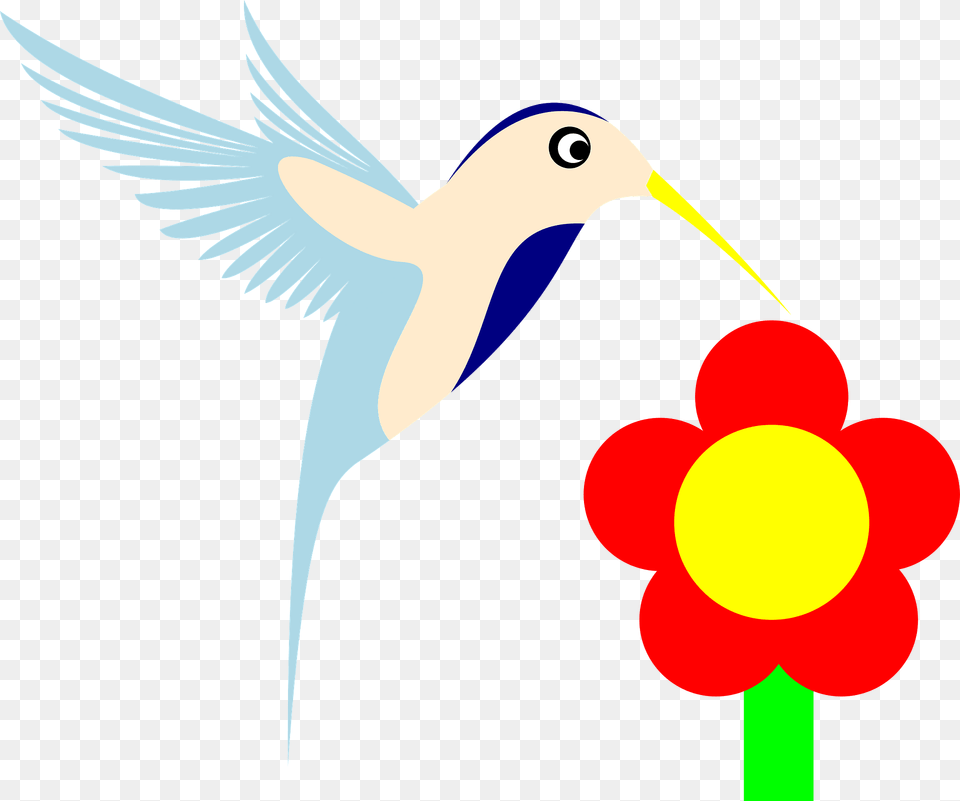 Hummingbird, Animal, Bird, Flying Png