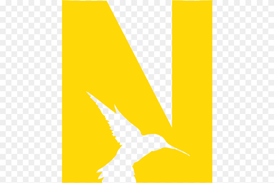 Hummingbird, Yellow Free Png Download