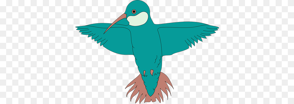 Hummingbird Animal, Beak, Bird, Fish Png