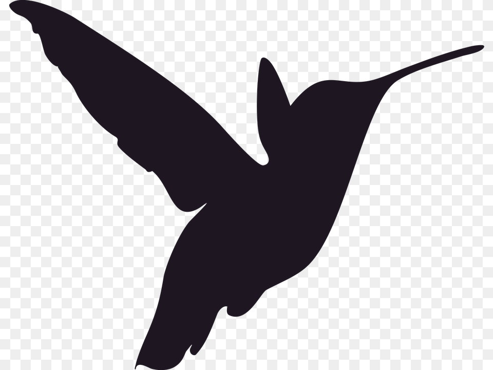 Hummingbird, Animal, Bird, Flying, Fish Free Transparent Png