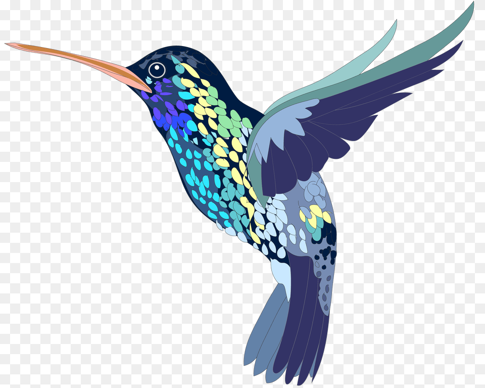 Hummingbird Art Background, Animal, Bird Free Transparent Png
