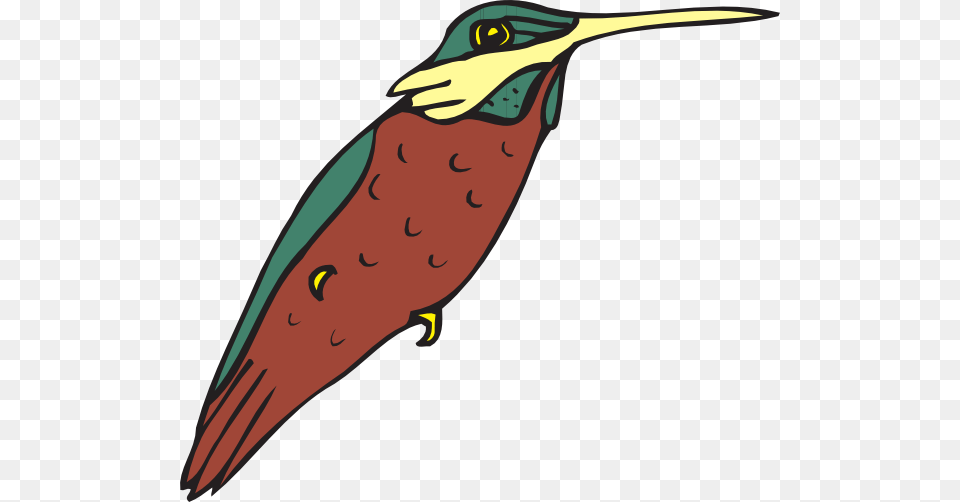 Hummingbird Art Clip Art, Animal, Beak, Bird, Bee Eater Png Image