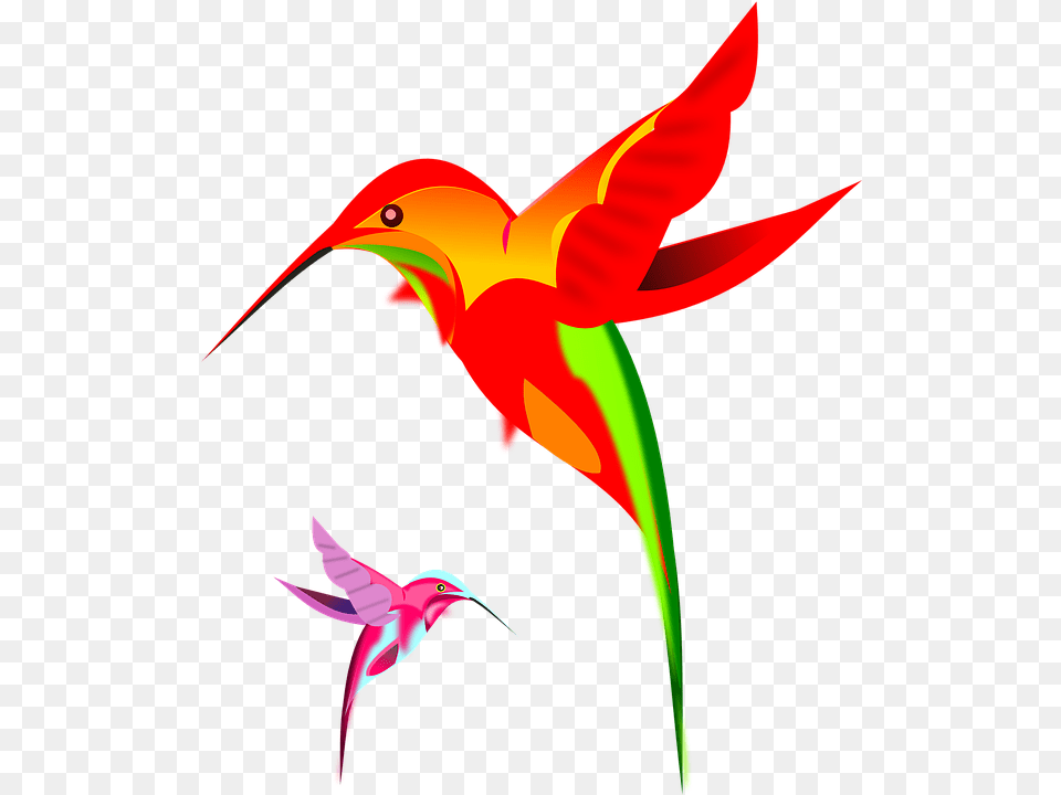 Hummingbird Art Clipart Humming Bird, Animal, Beak Png Image