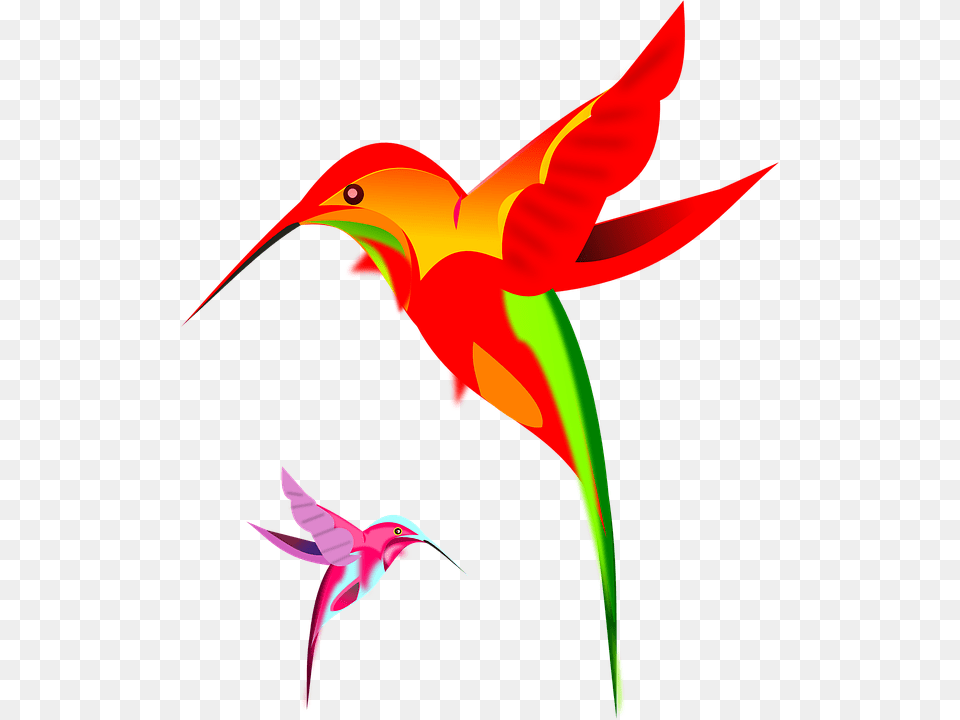 Hummingbird Art Clipart Rufous Hummingbird, Animal, Beak, Bird Png