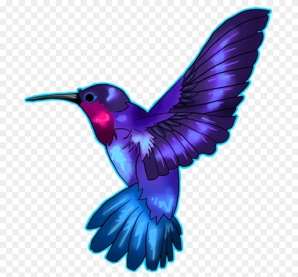 Hummingbird Art Photo, Animal, Bird Free Png Download